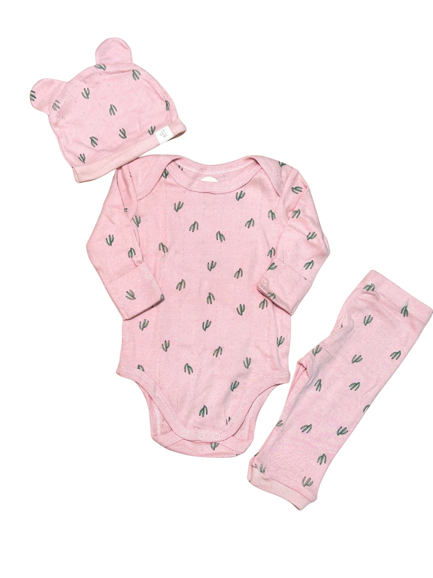 Pink Cacti Set
