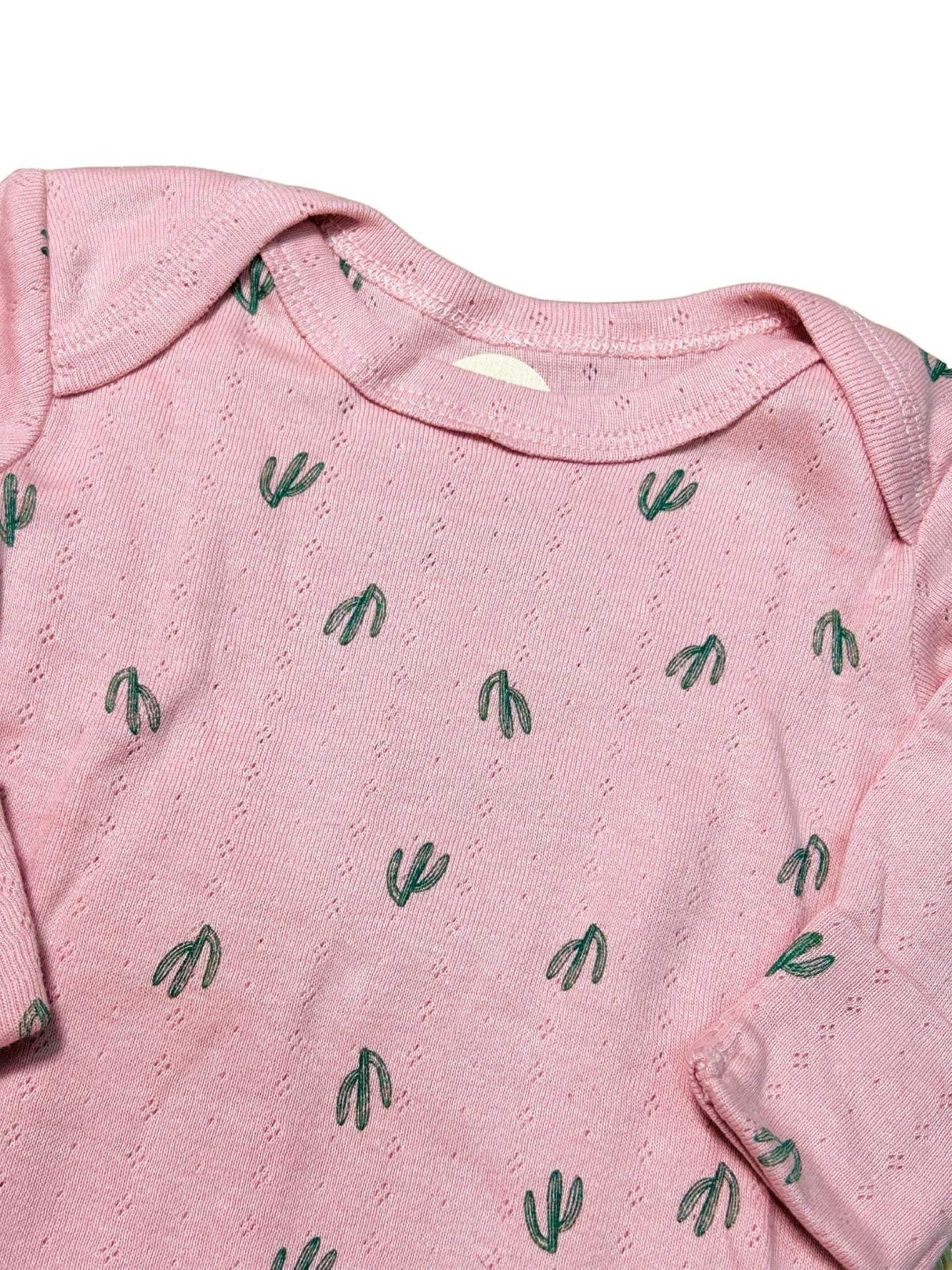 Pink Cacti Set