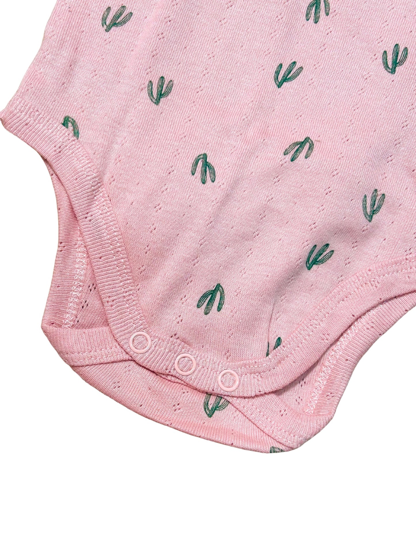 Pink Cacti Set
