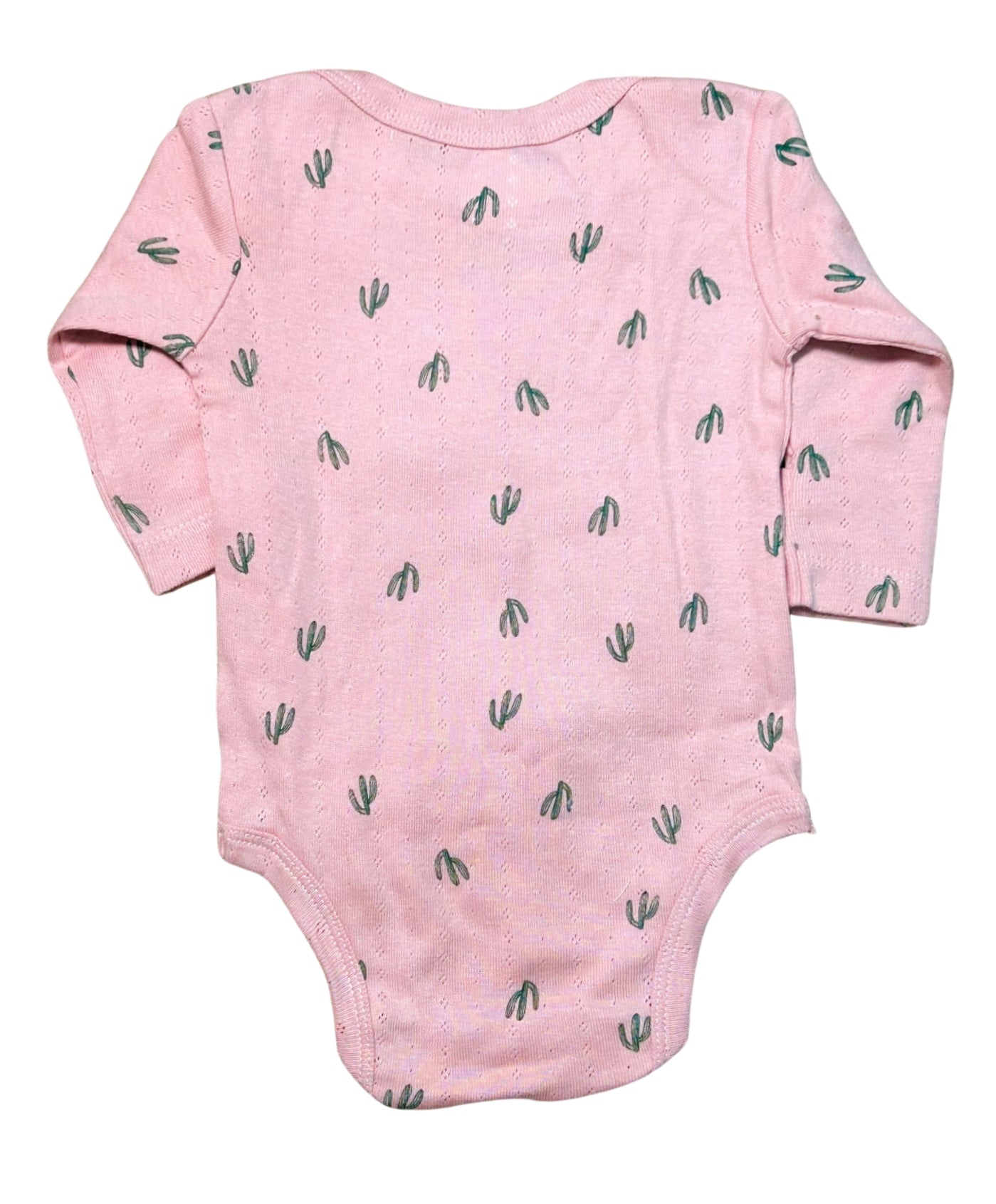 Pink Cacti Set