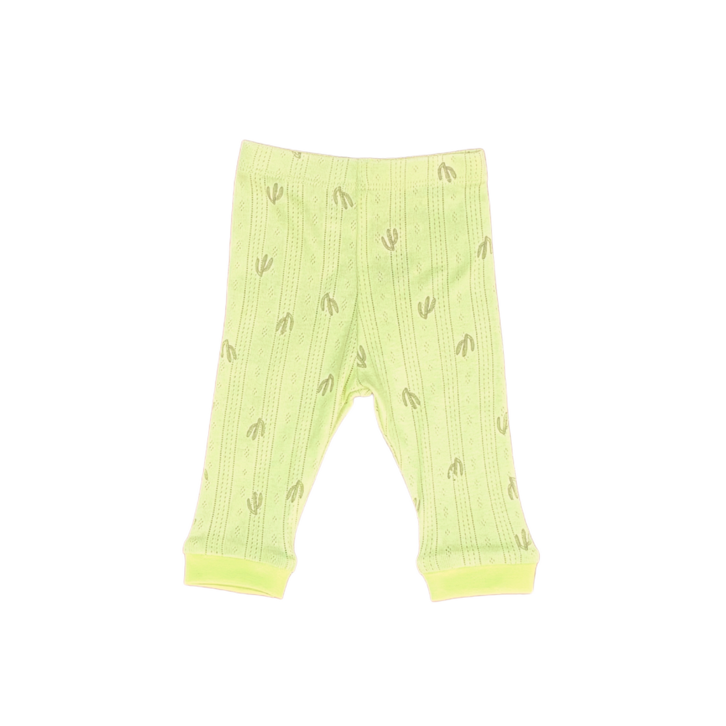 Cactus Cuddles Set